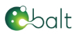 Balt India Pvt Ltd