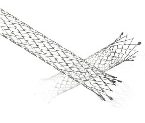 LifeStar Vascular stent