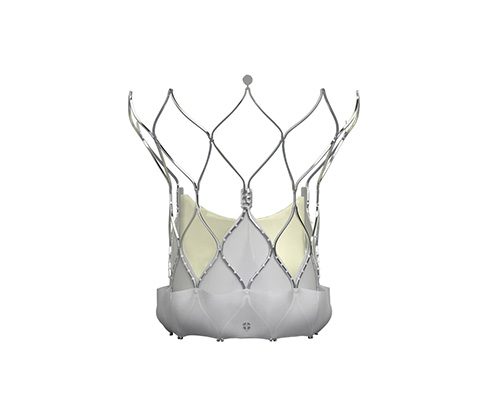 Heart Failure Portfolio Image